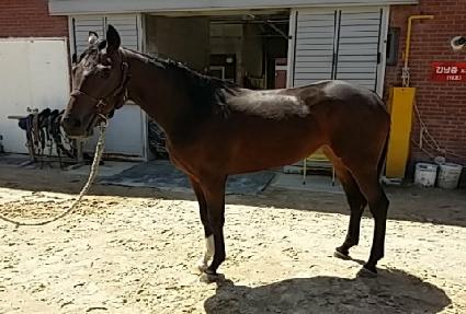 ����Ҹ� ����