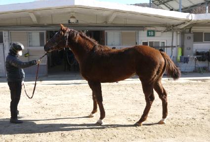 �̶�Ŭ������ ����