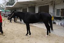 ���ø�Ʈ���� (COMPLETE HIGH) ����