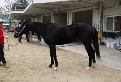 ���ø�Ʈ���� ����