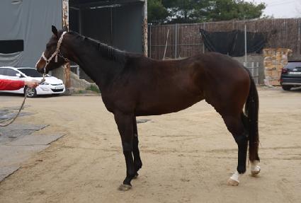 ������ ����