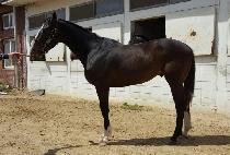 �����Ŀ� (MYEONGSIN POWER) ����