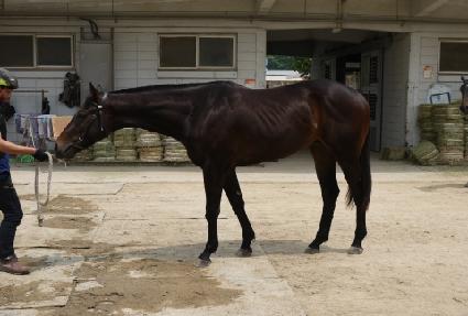 ���̹� ����