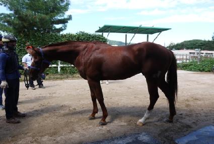 ��ī��ķ�� ����