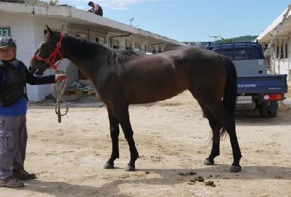 ������Ʈ��� ����