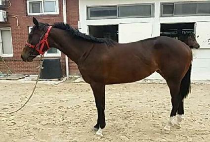 ���丮���� ����