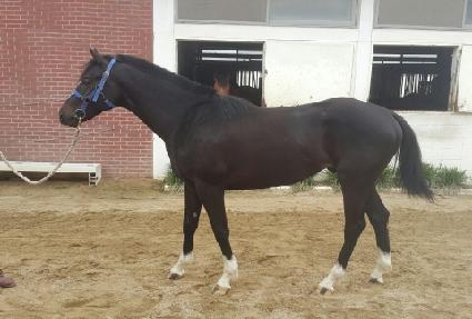 �ְ����Ǽ� ����