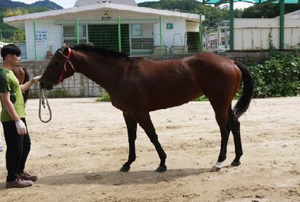 �����ȭ ����