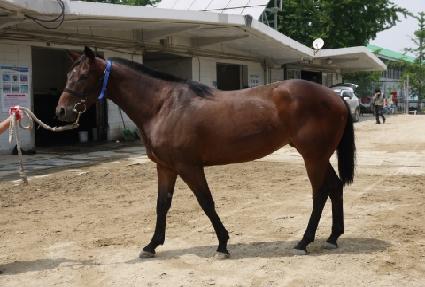 ��õ���� ����