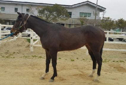 ���ӽ��ǵ� ����