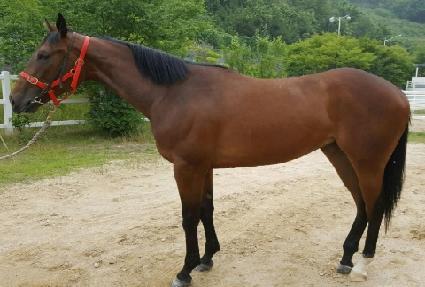 ���������� ����