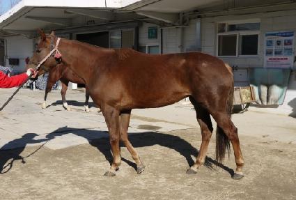 �巡��Ʈ�� ����