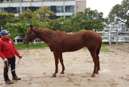 �Ϸ���Ÿ ����