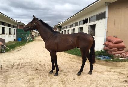 ȯ�������� ����