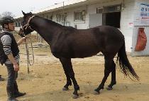 ����Ʈ�� (SUPER TRICK) ����