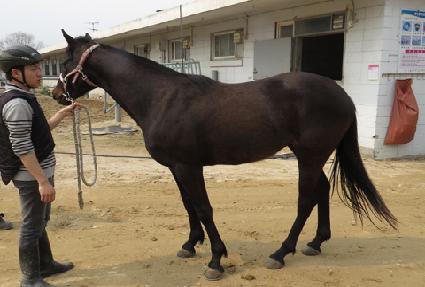 ����Ʈ�� ����