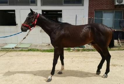 õ�ϴ�� ����