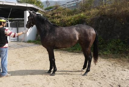 ���级�� ����