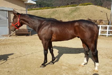 �����Ƽ ����