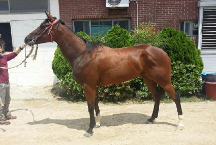 ȣ������ ����