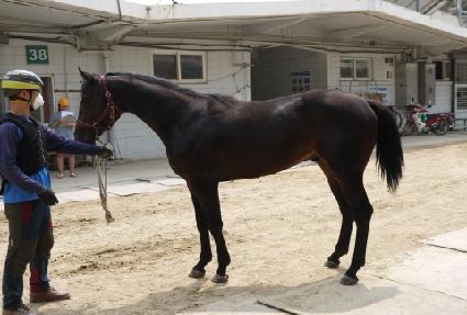 ���ϸ��� ����