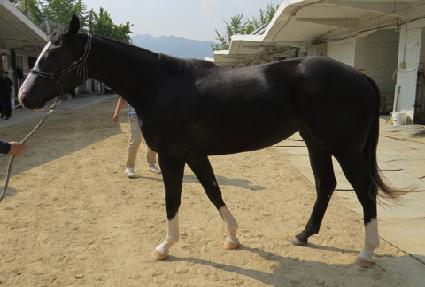 �ݰ��ٿ� ����