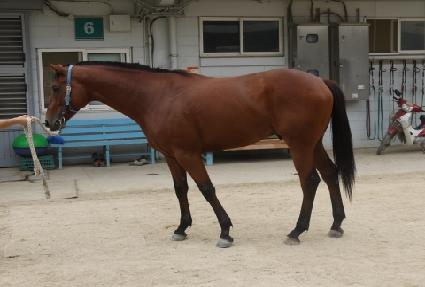 �ϴ��ǽ�Ÿ ����