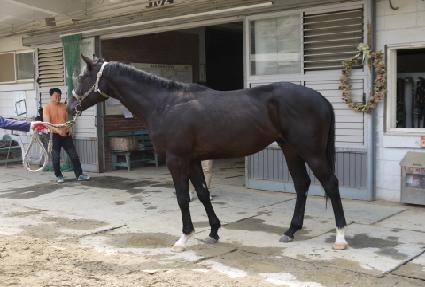 ���Ѱ��� ����