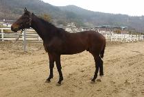 �����ŷ (DIVINE KING) ����