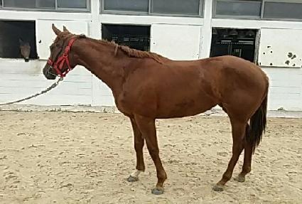 ����ȣ�� ����