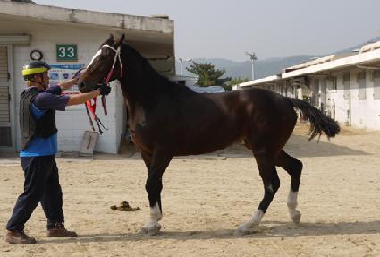 ������ ����