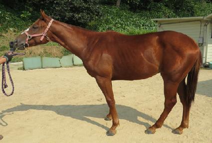 ����ĸƾ ����