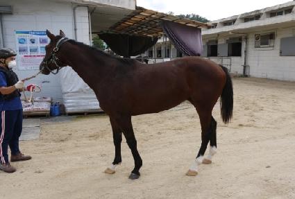 ������Ʈ�� ����