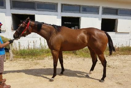 ��������� ����