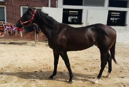 ����ź�� ����