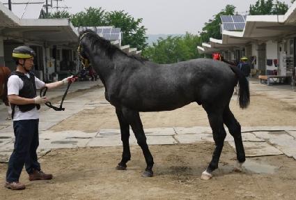 �����Ŀ� ����