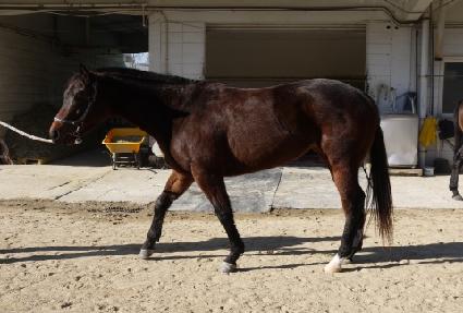 �̽�����ƾ ����