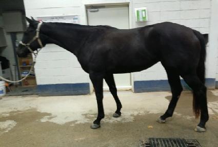 ���� ����