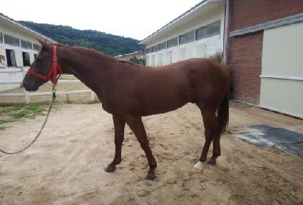 ���ĺ���Ʈ ����