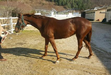 �������� ����