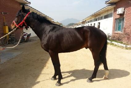 ��������Ʈ ����