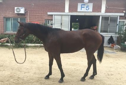 ����ī������ ����