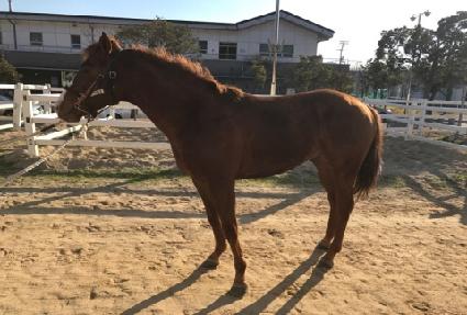 �극��ŷ���� ����