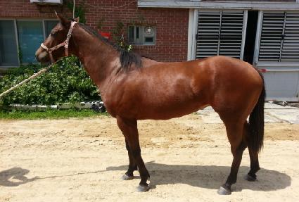 ����Ʈ���� ����