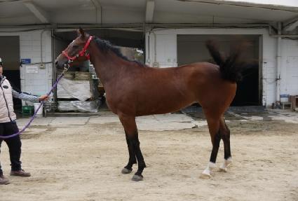 ���̾Ʒ��� ����