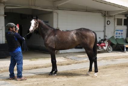 ��彺Ź ����