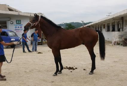 �ʵ����̽� ����