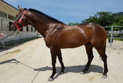 ������Ű ����