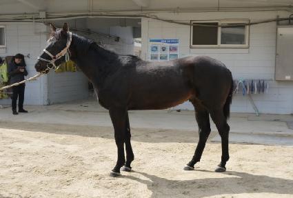 ��ī�̹�� ����