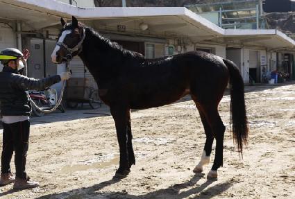 û�谭�� ����